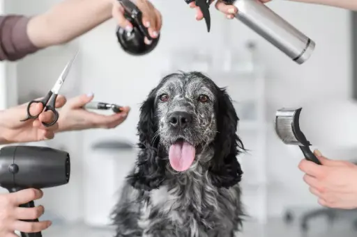 Peluqueria Completa