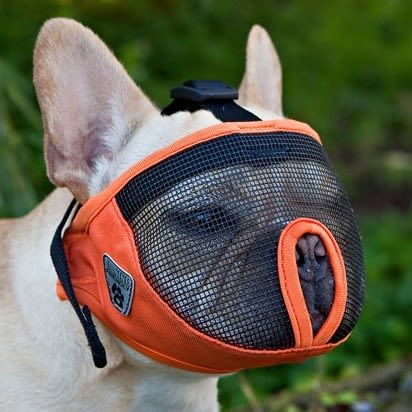 Bozal - Dog Muzzle - Perro Osico Corto - 14 a 21 Kg - Marben Pet